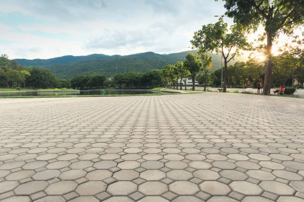 Best Local Driveway Pavers  in Moraine, OH